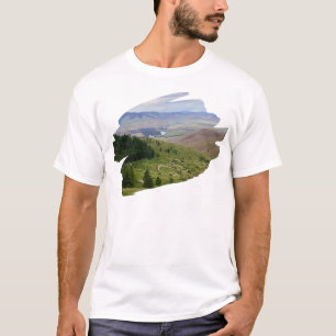 Camiseta Estrada Sinuosa