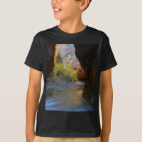 Estreitos no parque nacional de Zion