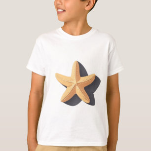 Camiseta Estrela-do-mar e sua Sombra