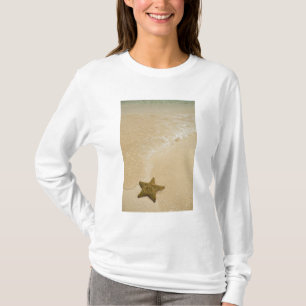 Camiseta Estrela-do-mar na praia arenosa, Gibbs Cay Land