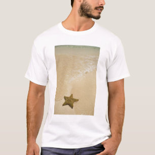 Camiseta Estrela-do-mar na praia arenosa, Gibbs Cay Land