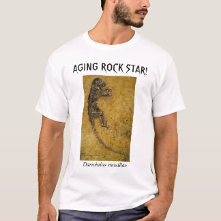 CAMISETA ESTRELA DO ROCK DO ENVELHECIMENTO!