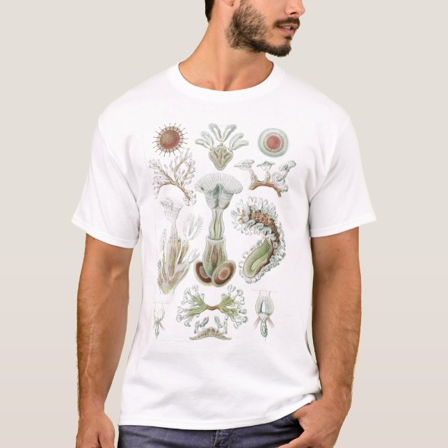 Camiseta Estruturas Anatômicas de Recife de Coral Bryozoa (Frente)