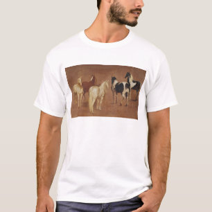 Camiseta Estudo de cinco cavalos