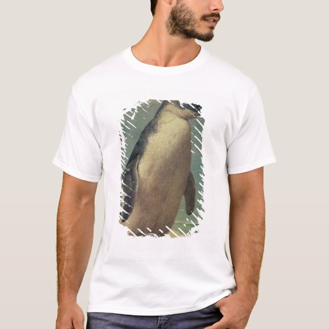 Camiseta Estudo de um pinguim (Frente)