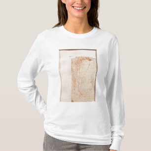 Camiseta Estudo dos pés do cristo pregados à cruz