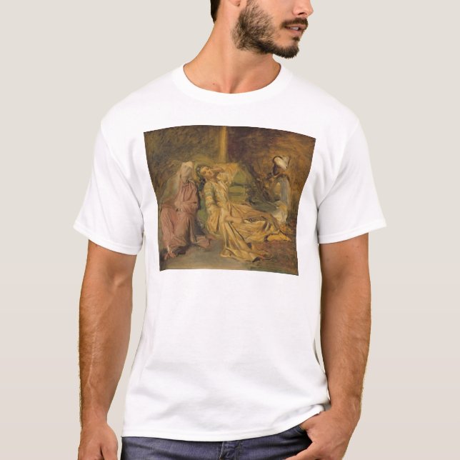 Camiseta Estudo para o interior de um Harem (Frente)