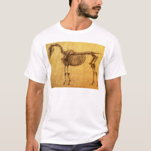 Camiseta Estudo terminado   de George Stubbs para o