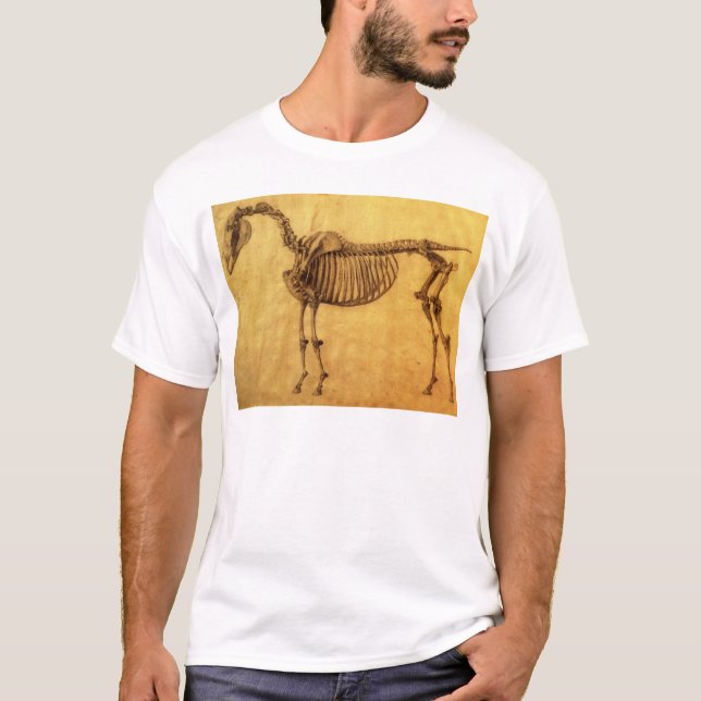 Camiseta Estudo terminado | de George Stubbs para o (Frente)
