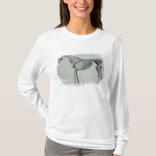 Camiseta Estudo terminado de George Stubbs para o quinto