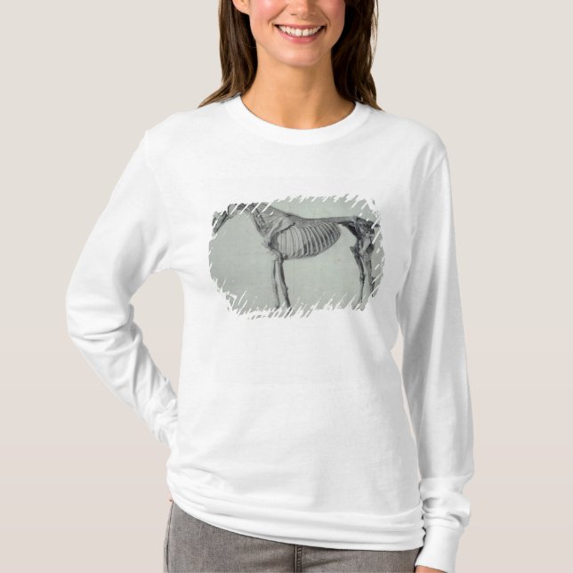 Camiseta Estudo terminado | de George Stubbs para o quinto (Frente)