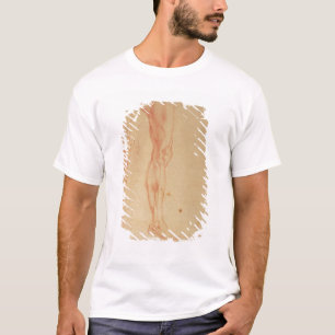 Camiseta Estudos dos pés e dos braços