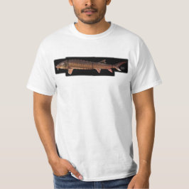 Camiseta Esturjão de Shortnose - brevirostrum do Acipenser