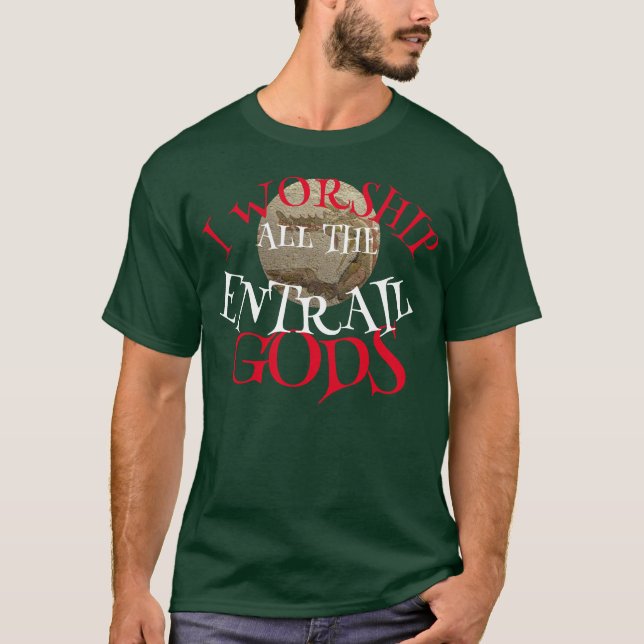 CAMISETA EU ADORO TODOS OS DEUSES DAS ENTRELHAS (Frente)