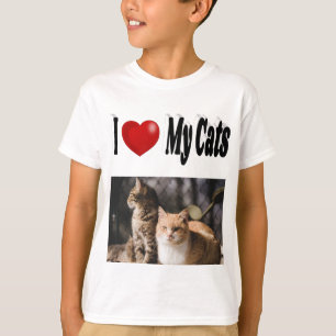 Camiseta Eu Amo A Foto Dos Meus Gatos