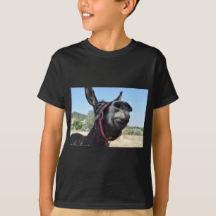 Camiseta Eu amo asnos!