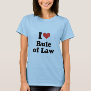 Camiseta EU AMO ESTADO DE DIREITO - .png