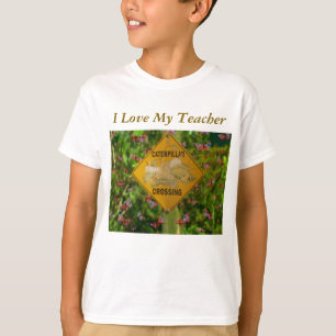 Camiseta Eu Amo Meu Professor