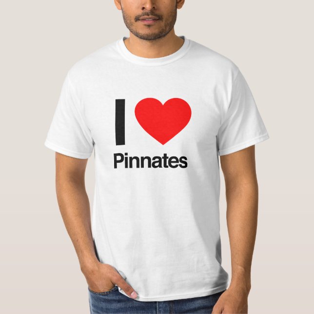 Camiseta eu amo pinatas (Frente)