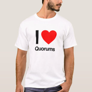 Camiseta eu amo quórum