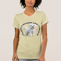 Eu beijei um cachorro Bichon Frise