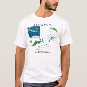 Camiseta Eu consegui voar em algum lugar ao St.