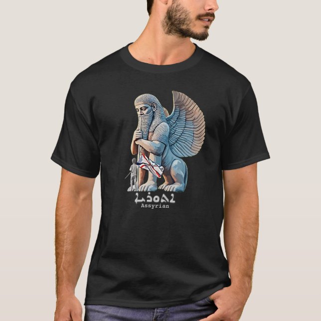 Camiseta Eu e Lamassu (Frente)