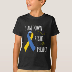 Camiseta Eu Estou Plenamente Perfeito Conscientização da Sí