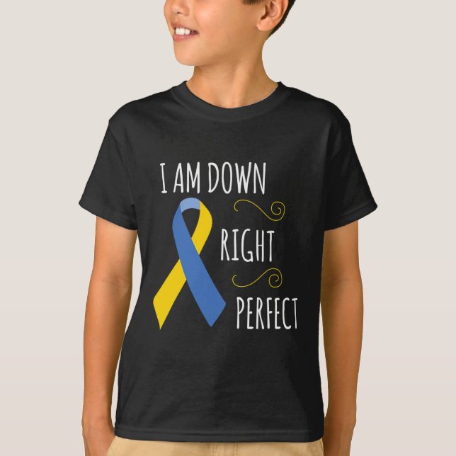 Camiseta Eu Estou Plenamente Perfeito Conscientização da Sí (Frente)