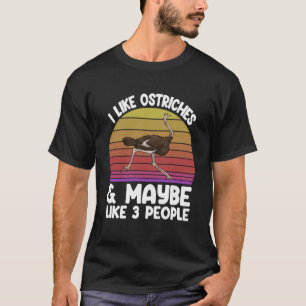 Camiseta Eu gosto de avestruzes Ana pode ser 3 pessoas que