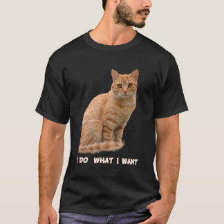 Camiseta Eu Quero Gato De Tabby Laranja