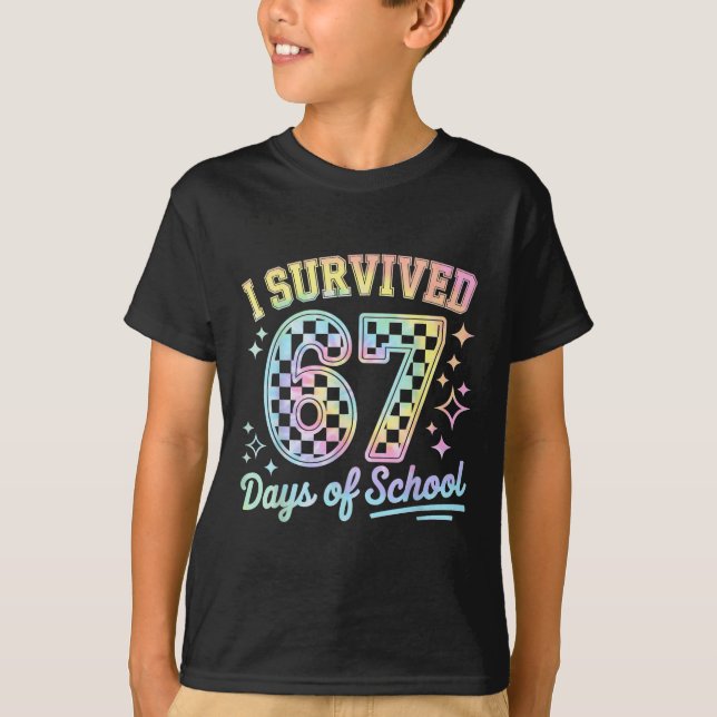 Camiseta Eu Sobrevivi 67 Dias De Professores Alunos Diversã (Frente)