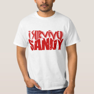 Camiseta eu sobrevivi a SANDY