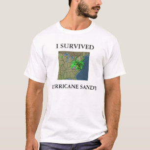CAMISETA EU SOBREVIVI AO FURACÃO SANDY
