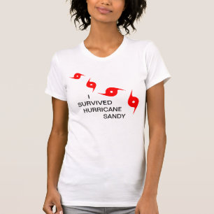 CAMISETA EU SOBREVIVI AO FURACÃO SANDY