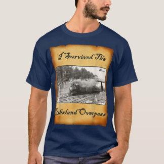 Camiseta Eu Sobrevivi Ao Sobrevoo De Gibsland