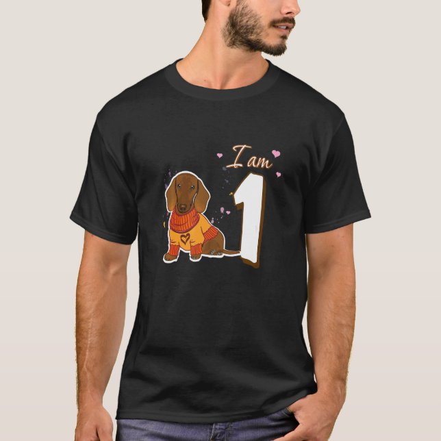 Camiseta Eu Sou 1 Aniversário Fã De Cachshund (Frente)