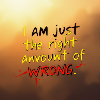 Camiseta Eu sou apenas a quantidade certa de errado