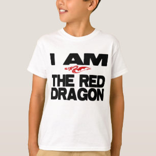 Camiseta Eu sou o dragão vermelho