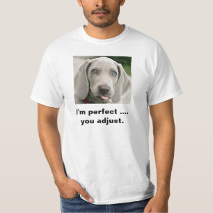 Camiseta Eu sou perfeito você ajusto Weimaraner