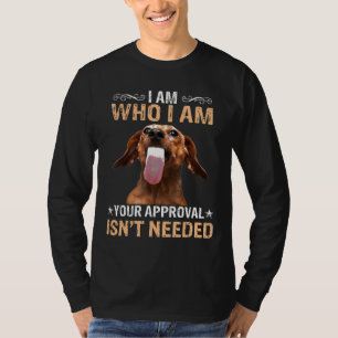 Camiseta Eu Sou Quem Eu Sou A Sua Aprovação, Não Preciso De