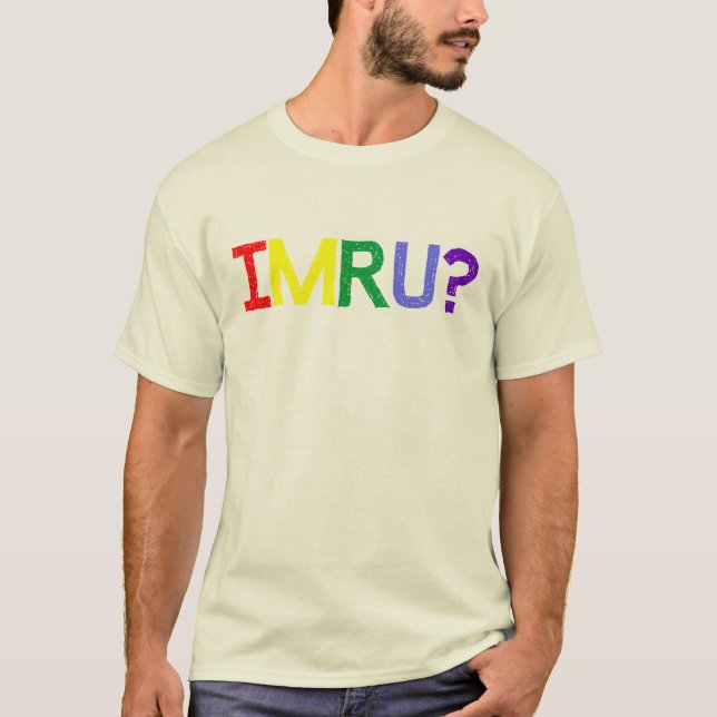 Camiseta Eu sou sou você orgulho do arco-íris de IMRU (Frente)