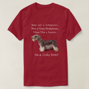 Camiseta Eu sou um Cesky Terrier