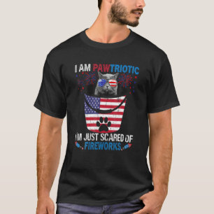 Camiseta Eu Sou um Gato Pawtriótico Fogos de Artifício 4 de