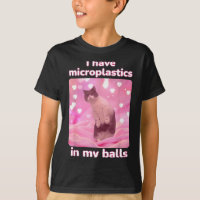 Eu Tenho Microplásticos No Meu Meme Dank Do Gato R