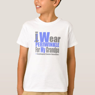 Camiseta Eu visto a pervinca para meu cancer esofágico do