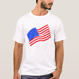 CAMISETA EUA