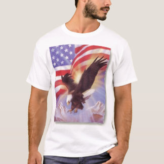 CAMISETA EUA
