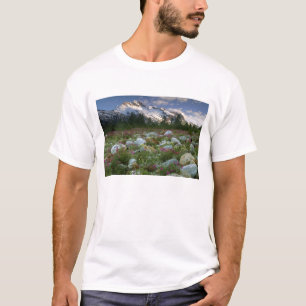 Camiseta EUA, Alasca, Deserto de Alsek-Tatshenshini. Vista