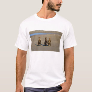 Camiseta EUA. Alasca. Filhotes de urso marrom costeiro